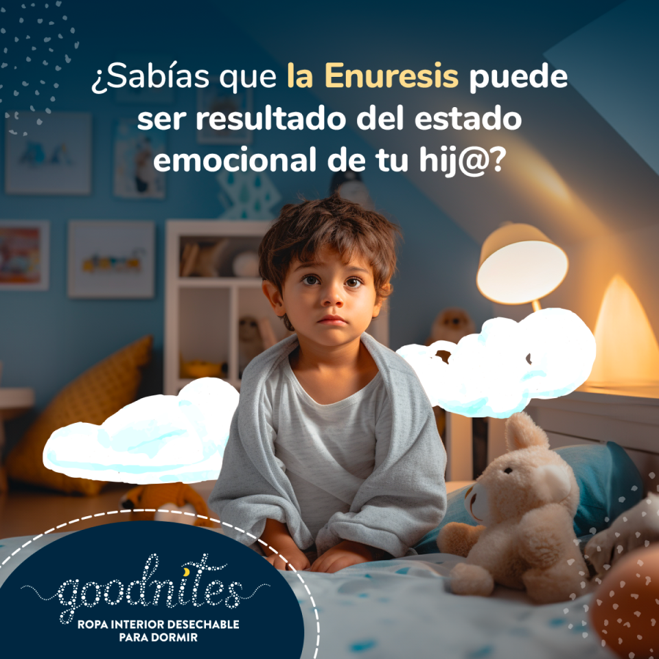 Adaptacion grafica de Goodnites para contenido de Facebook