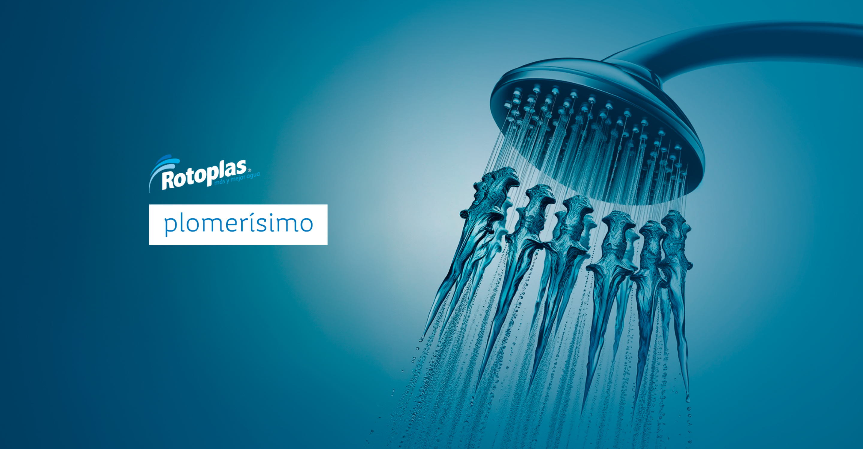 Portada de Rotoplas